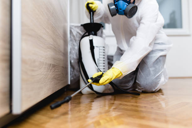 Best Local Pest Control Services  in Silver Lake, NJ