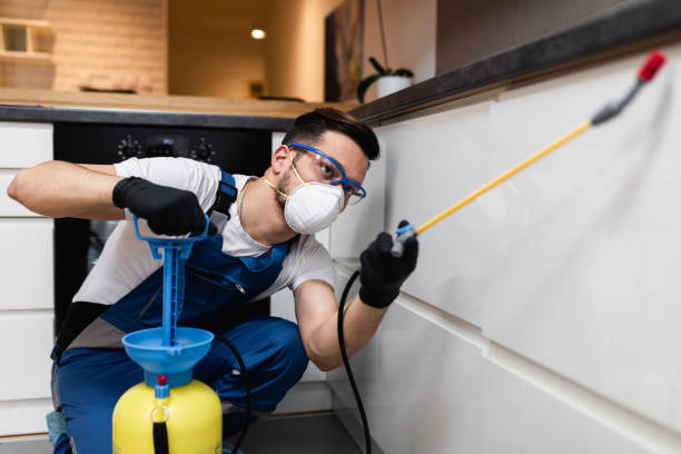 Best Affordable Pest Control Services  in Silver Lake, NJ