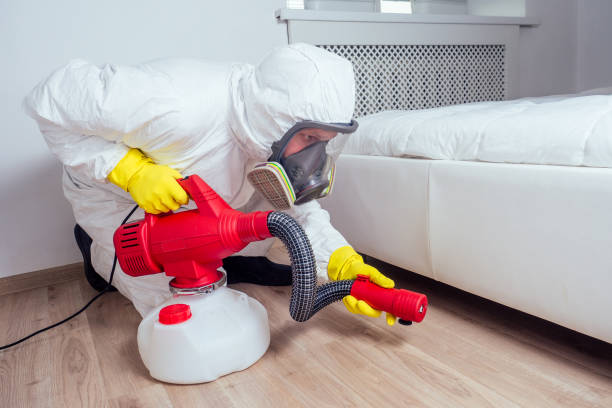 Trusted Silver Lake, NJ Pest Control Experts