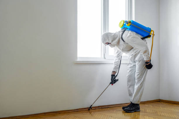 Best Pest Removal Services  in Silver Lake, NJ