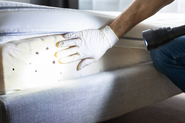 Best Residential Pest Control  in Silver Lake, NJ