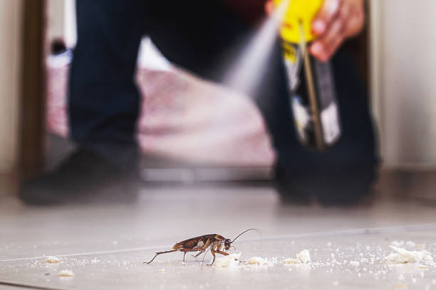 Best Wasp Removal Services  in Silver Lake, NJ